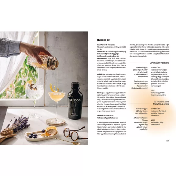 Kocsis Lilla, Nagy Zoltán: Ultimate Guide to Gin, Gin&Tonik és egyéb koktélok - bővített kiadás