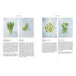 Beh Mariann: A kert konyhája