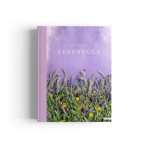 Beh Mariann: Levendula