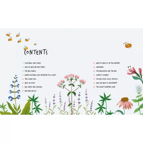 Adél Várszegi: Buzzing along woods and meadows - The adventures of Fluffball and Sophie Adél Várszegi: Buzzing along woods and meadows - The adventures of Fluffball and Sophie