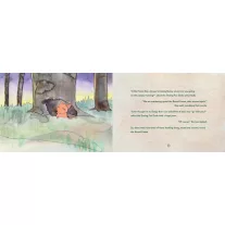 Gergely Vass: Bedtime story from the round forest