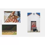 The Hungarian Cookbook