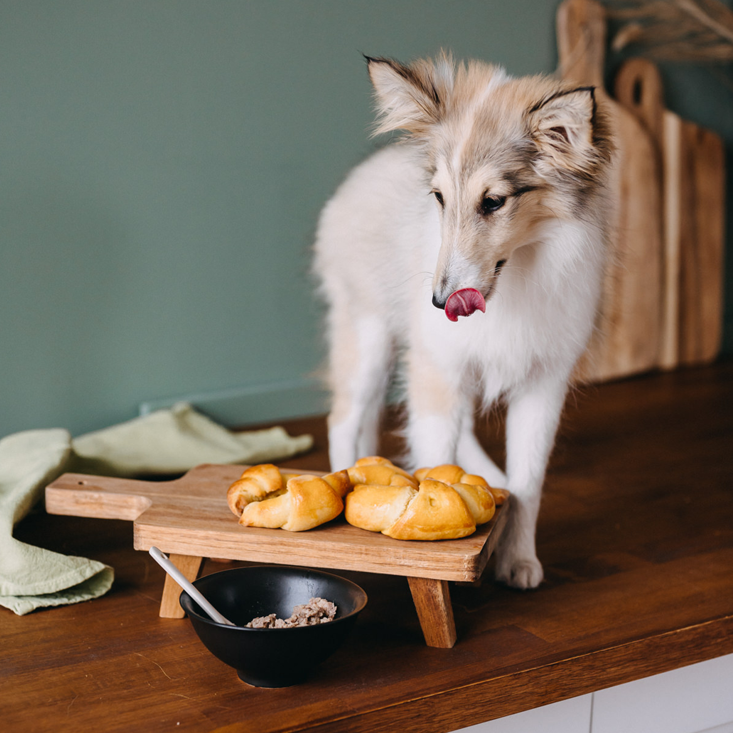 3 "kutyajó" falat a különlegesebb napokra